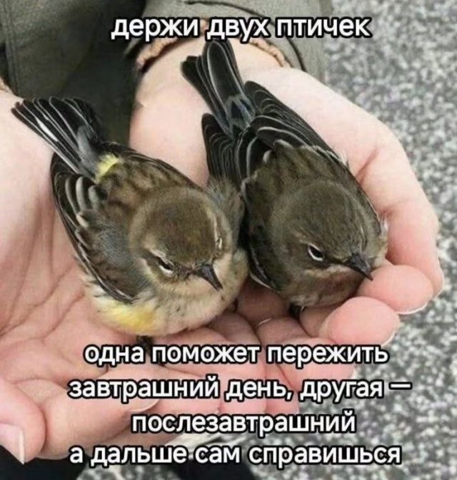 Лучшие шутки и мемы из Сети - 10.03.2026