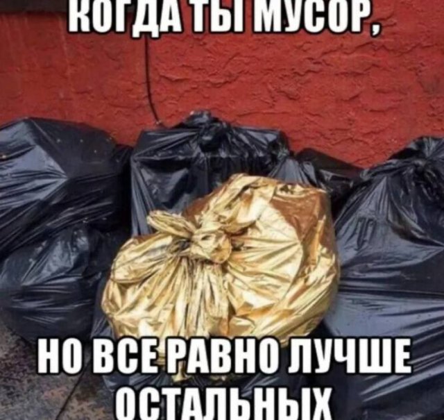 Лучшие шутки и мемы из Сети - 10.03.2026