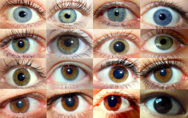 Голубоглазые чаще становятся алкоголиками