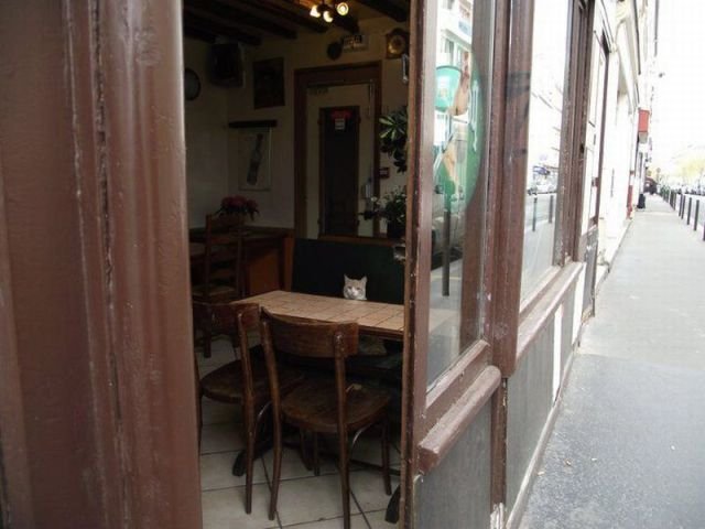 Подборка картинок. Вечерний выпуск - 11.03.2026