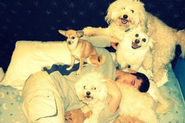 Подборка картинок. Вечерний выпуск - 11.03.2026