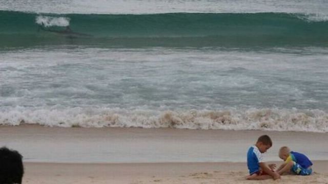 Подборка картинок. Вечерний выпуск - 11.03.2026