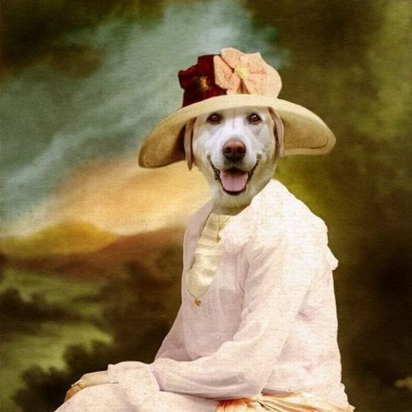 Подборка картинок. Вечерний выпуск - 11.03.2026