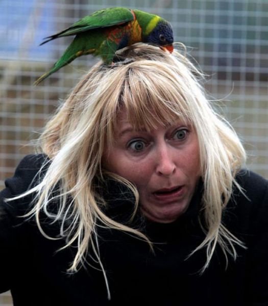 Подборка картинок. Вечерний выпуск - 11.03.2026