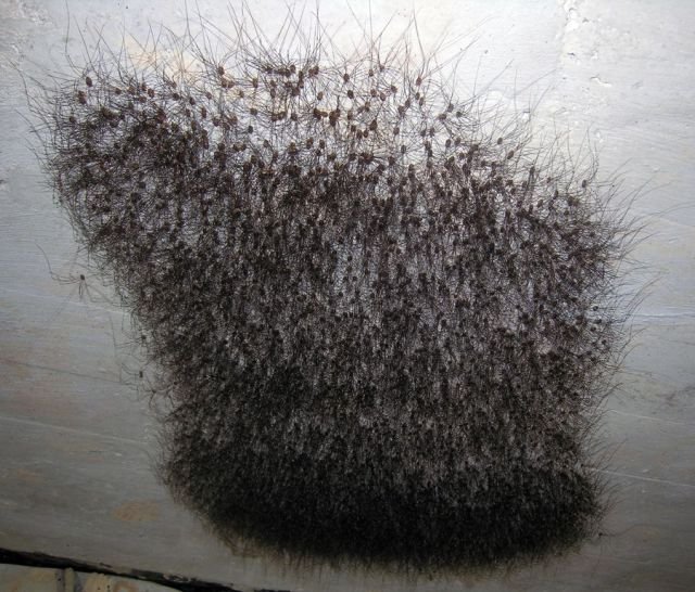 Подборка картинок. Вечерний выпуск - 11.03.2026