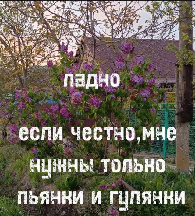 Лучшие шутки и мемы из Сети - 11.03.2026