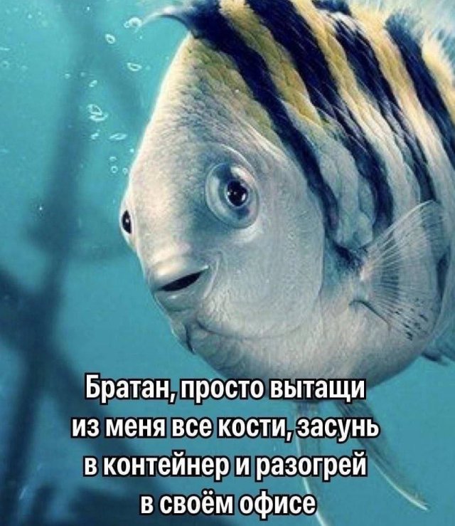 Лучшие шутки и мемы из Сети - 11.03.2026