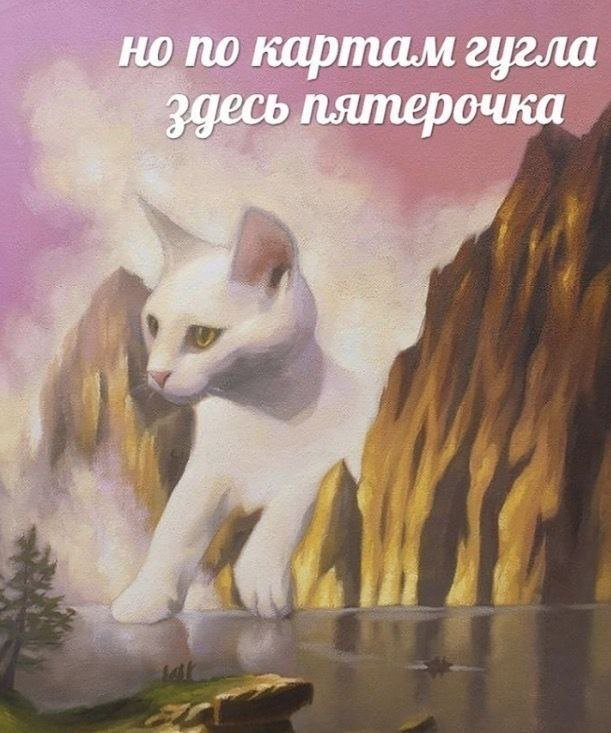 Лучшие шутки и мемы из Сети - 11.03.2026