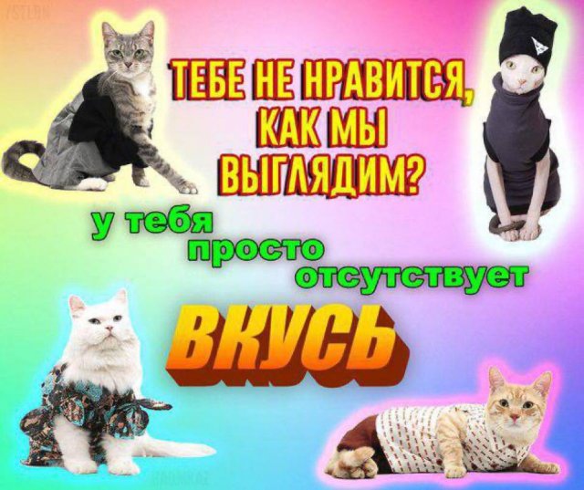 Лучшие шутки и мемы из Сети - 11.03.2026