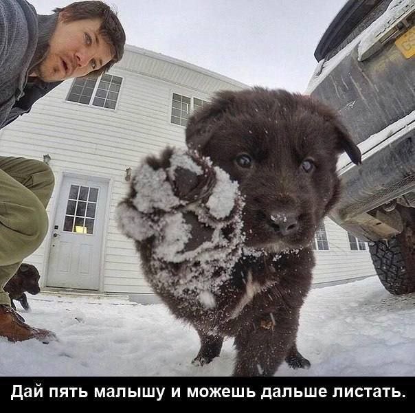 Лучшие шутки и мемы из Сети - 11.03.2026