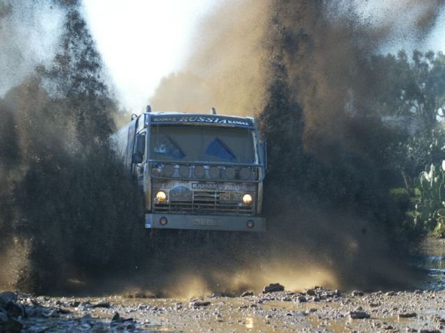 Подборка картинок. Вечерний выпуск - 12.03.2026