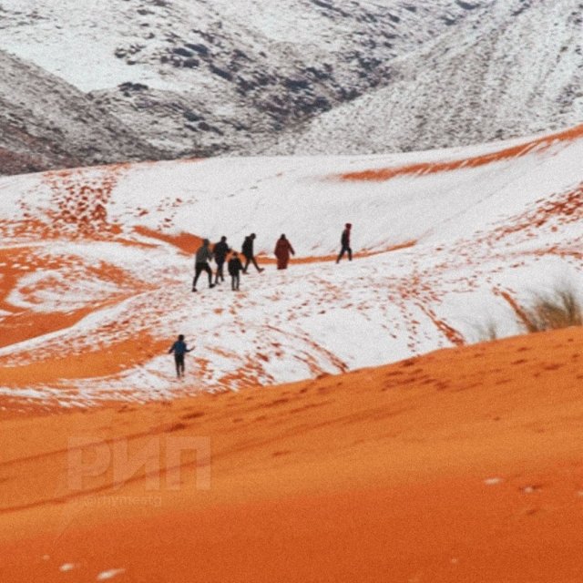 Пустыню Сахара накрыло снегом