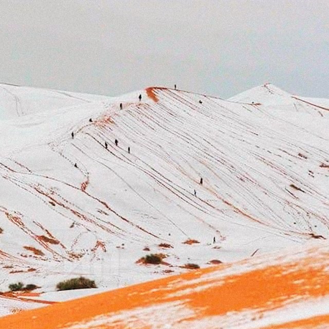 Пустыню Сахара накрыло снегом