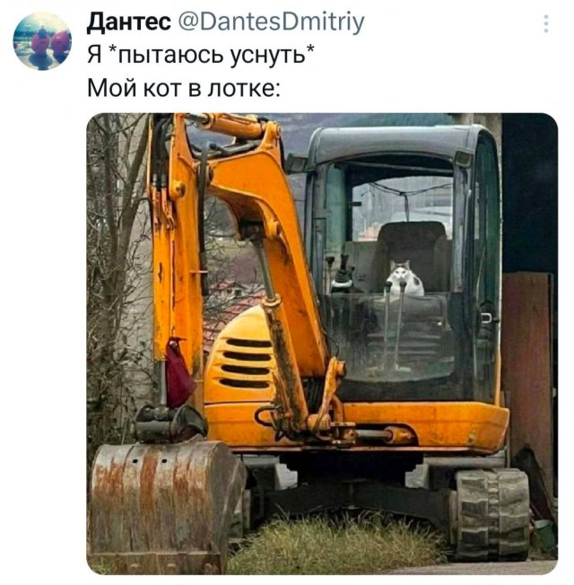 Подборка забавных твитов обо всем