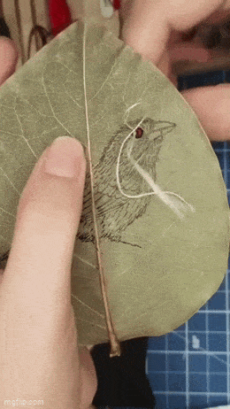 Забавная гифка 17