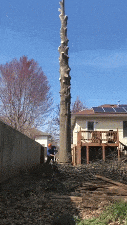 Забавная гифка 23