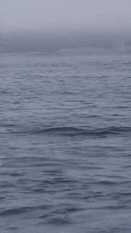 Забавная гифка 6