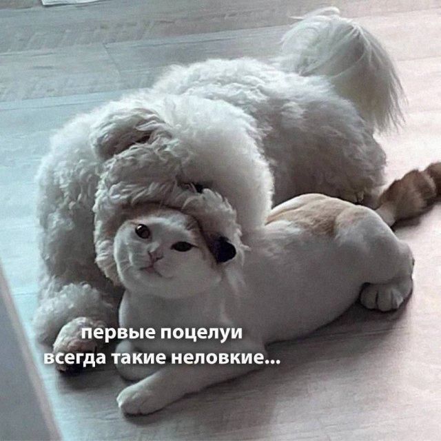 Лучшие шутки и мемы из Сети - 13.03.2026