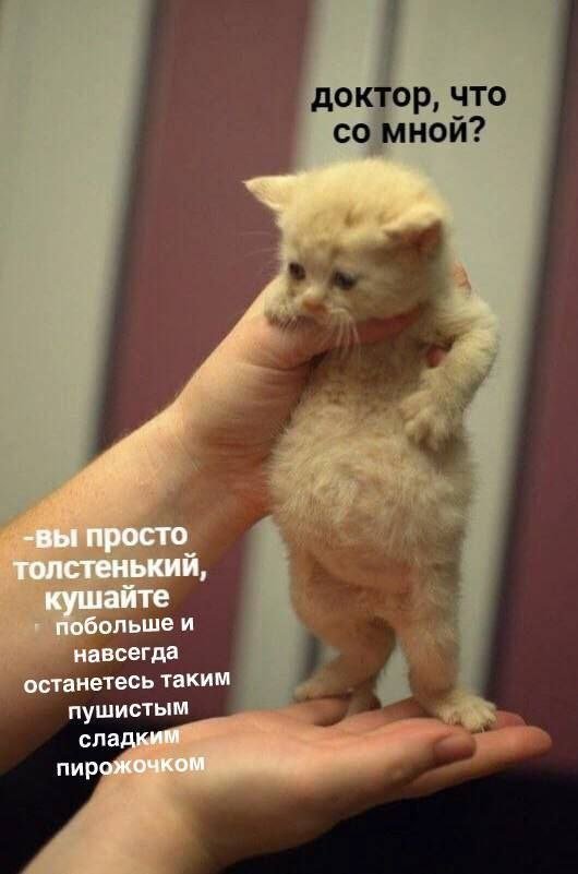 Лучшие шутки и мемы из Сети - 13.03.2026
