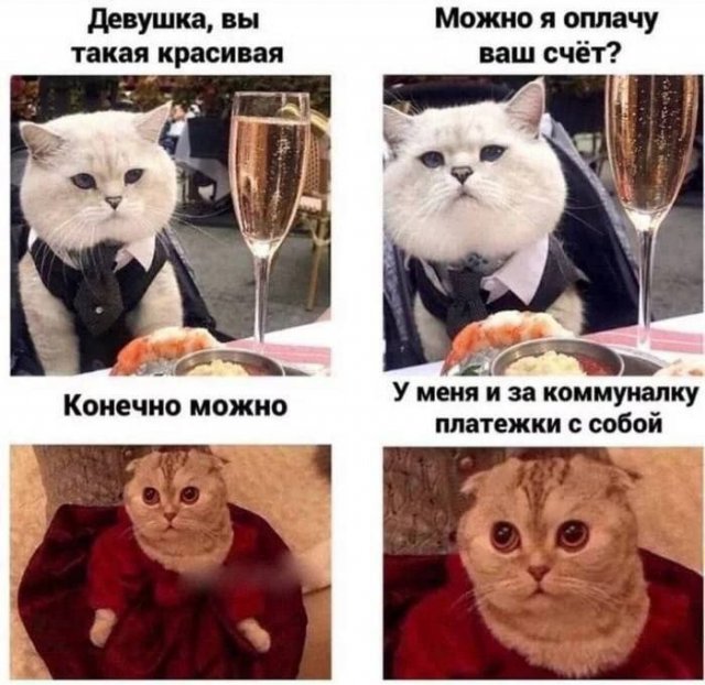 Лучшие шутки и мемы из Сети - 13.03.2026