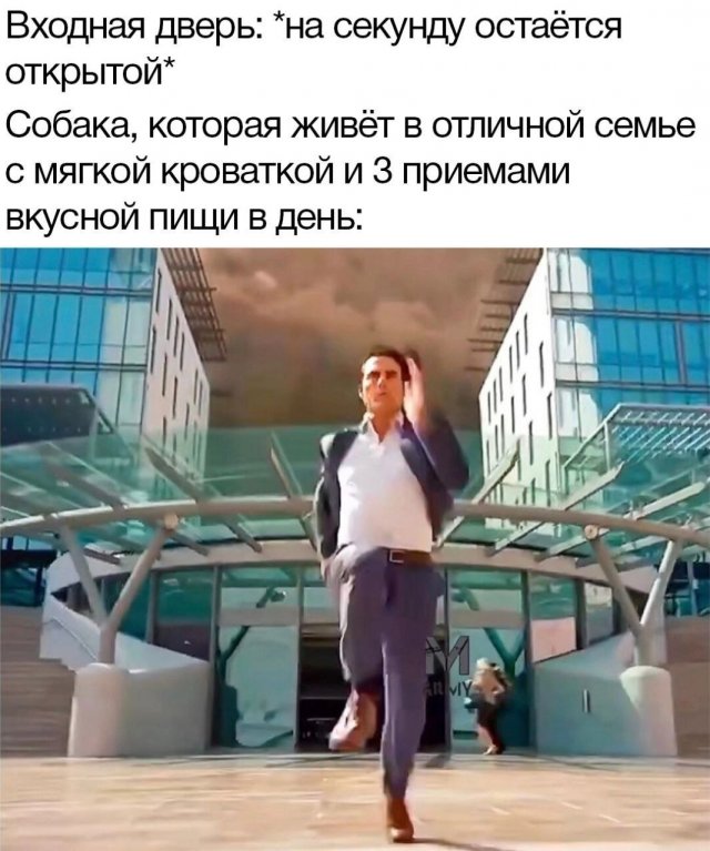 Лучшие шутки и мемы из Сети - 13.03.2026