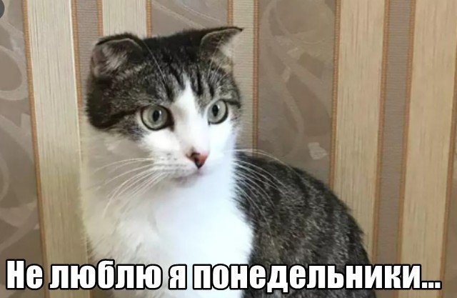 Трынделка - 16.03.2026