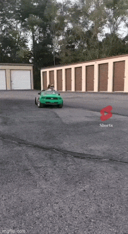 Лучшие гифки для отличного настроения