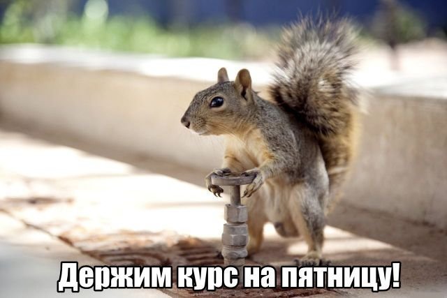 Трынделка - 18.03.2026