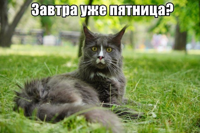 Трынделка - 19.03.2026