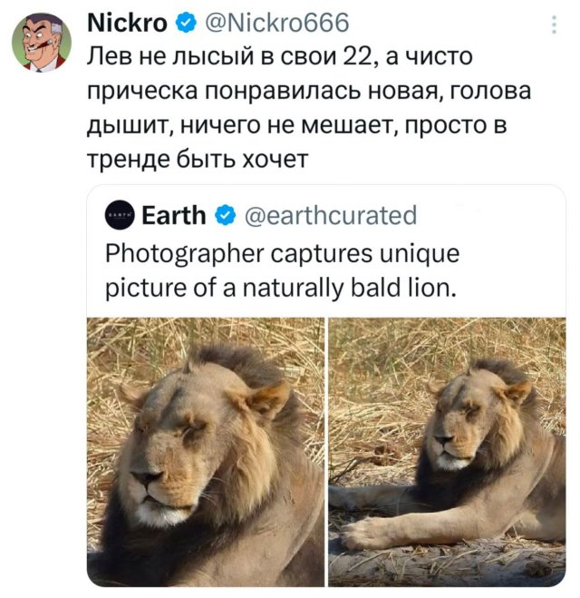 Подборка забавных твитов обо всем