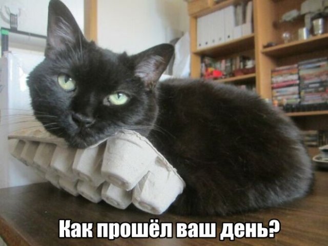 Трынделка - 24.03.2026