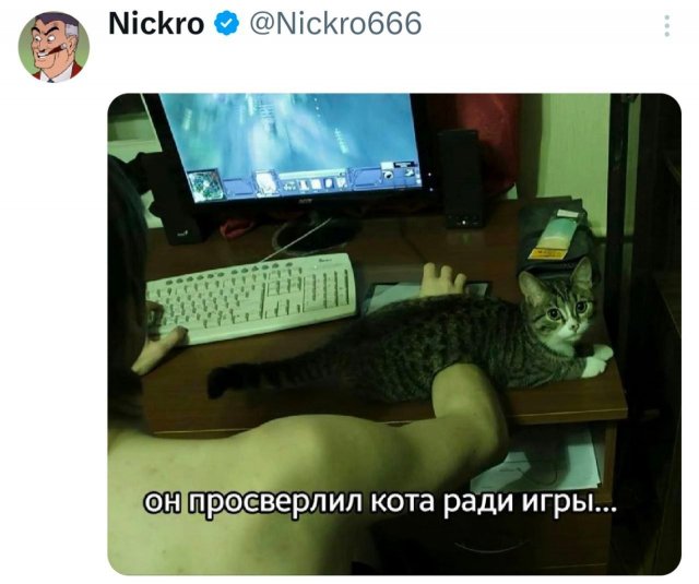 Подборка забавных твитов обо всем