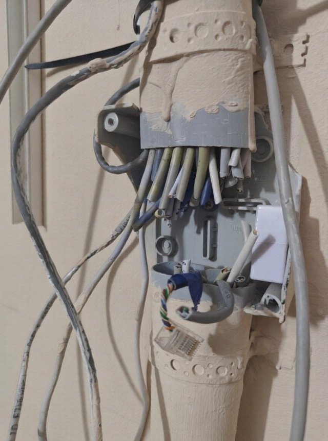 Соседка из Батайска объявила войну интернету