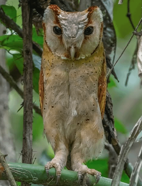 Я познаю дзен