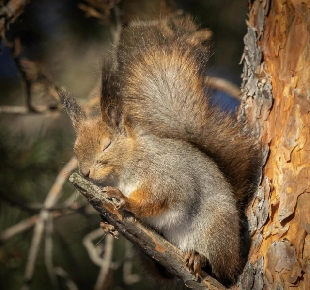 Благословенное тепло