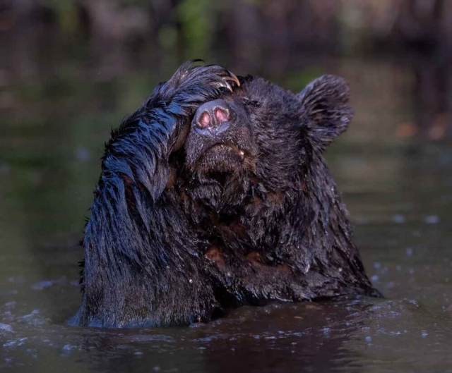 Водные процедуры