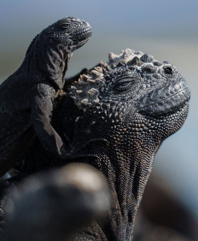 На всё забей, сиди, балдей