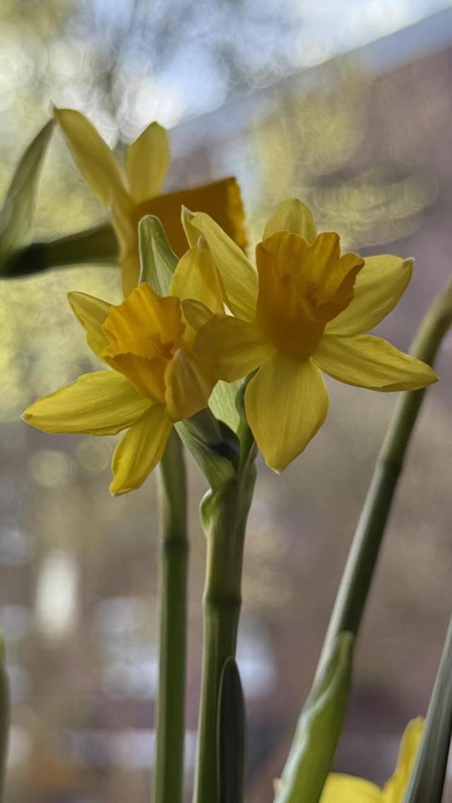 Они решили не разлучаться