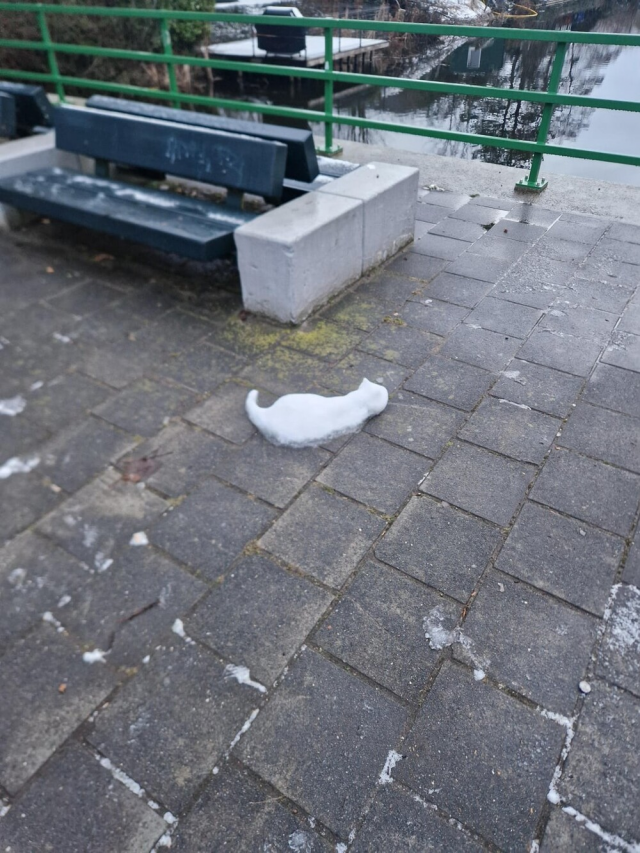 Тающий сугроб похож на кошку