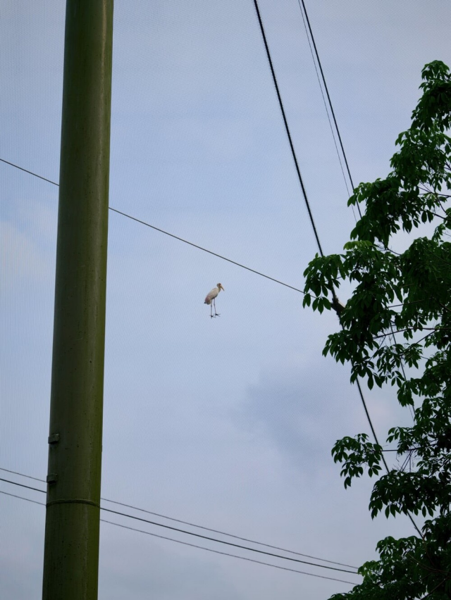 Идущая по облакам