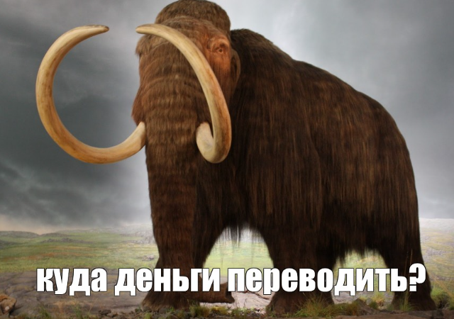Пенсионерка перевела мошенникам 1,3 млн рублей несмотря на предупреждения