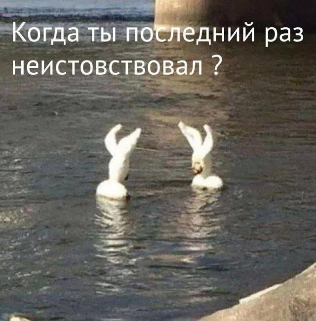 Смешные мемы - 07.04.2026