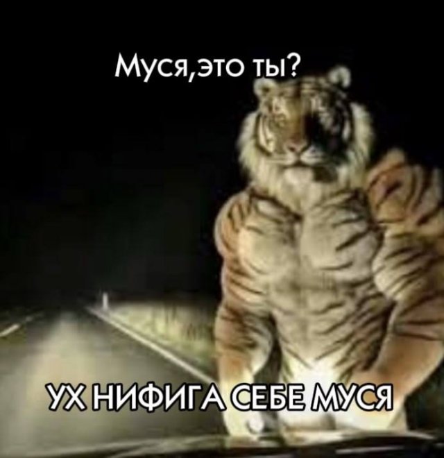 Смешные мемы - 07.04.2026