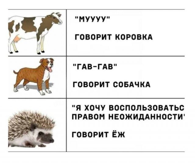 Смешные мемы - 07.04.2026