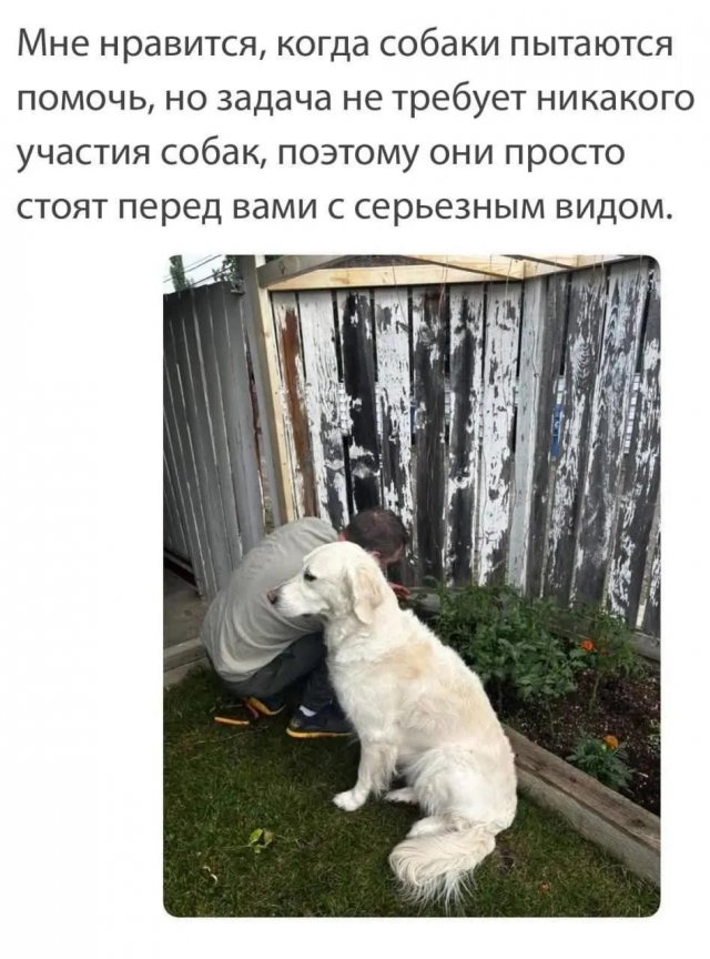 Смешные мемы - 07.04.2026