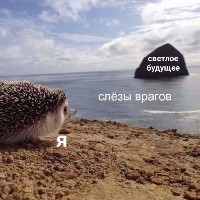 Смешные мемы - 07.04.2026