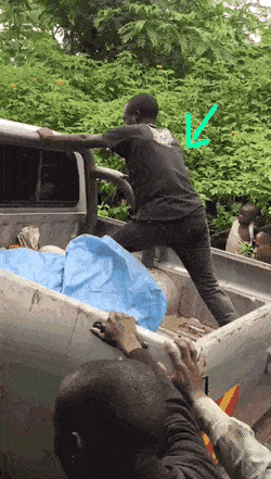 Подборка гифок -  07.04.2026