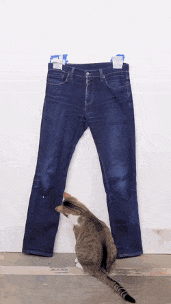 Подборка гифок -  07.04.2026