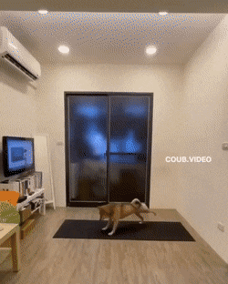 Подборка гифок -  07.04.2026