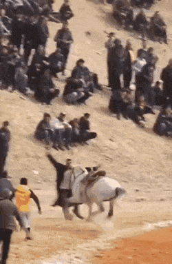 Подборка гифок -  07.04.2026